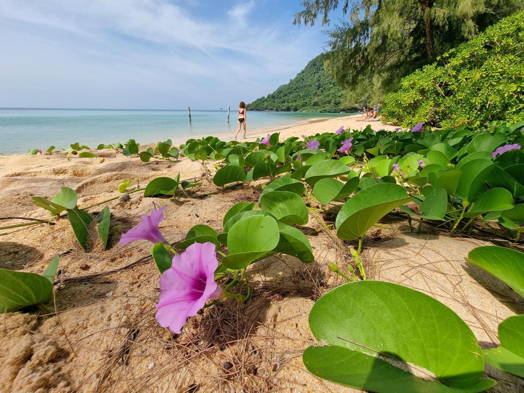 桑布海滩别墅 高龙撒冷岛 外观 照片